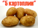 Картинка до матеріалу: «5 картоплин»